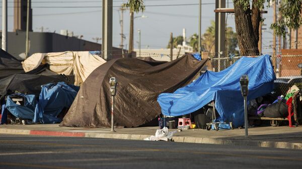 View of the homeless encampments along Central Avenue in Downtown Los Angeles, California. - Sputnik Africa