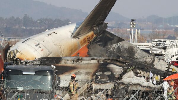 Firefighters check near the wreckage of a passenger plane at Muan International Airport on December 29, 2024 in Muan-gun, South Korea.  - Sputnik Africa