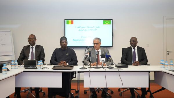 Le Comité du projet gazier Grand Tortue Ahmeyim (GTA), Ministre de l'Énergie et du Pétrole de la Mauritanie et de S.E. Birame Souleye Diop, Ministre de l'Énergie, du Pétrole et des Mines de la République du Sénégal - Sputnik Afrique
