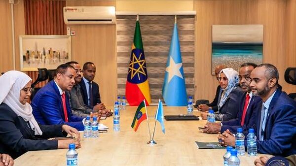 A high-level Ethiopian delegation led by Minister of Defense Aisha Mohammed on an official working visit to Somalia - Sputnik Africa