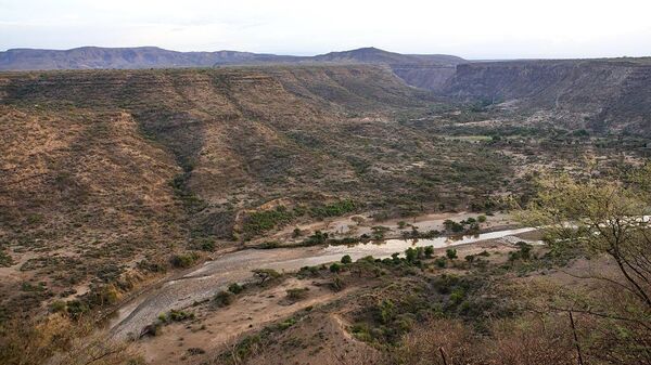 AWASH, ETHIOPIA - MARCH 02: Awash river in the national park, Afar region. - Sputnik Africa