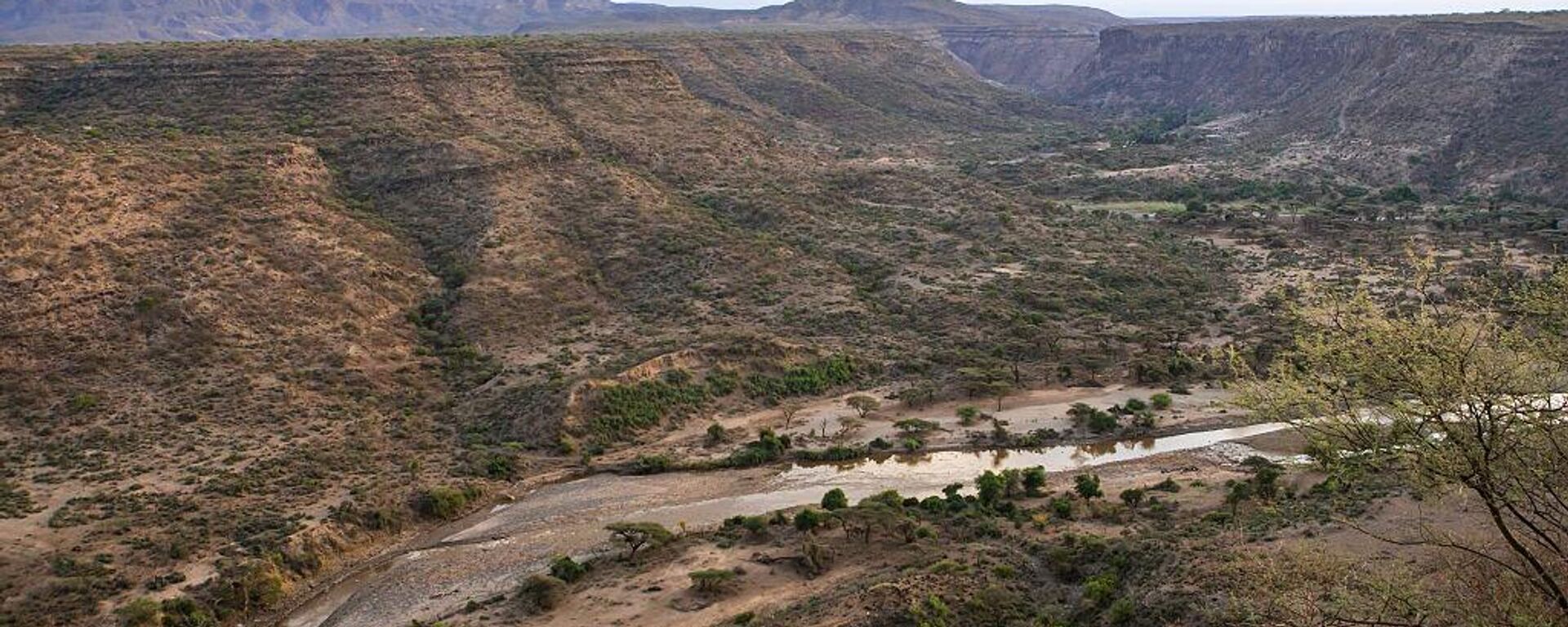 AWASH, ETHIOPIA - MARCH 02: Awash river in the national park, Afar region. - Sputnik Africa, 1920, 04.01.2025