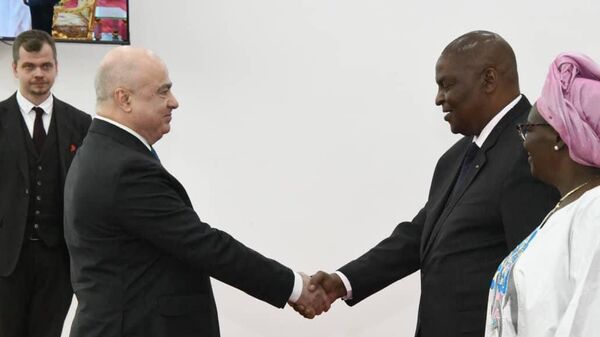 The Russian ambassador to the CAR Alexander Bikantov holds a meeting with the CAR's President Faustin Archange Touadera, January 4, 2025. - Sputnik Africa