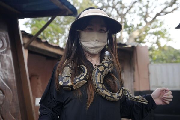 A tourist poses for a photograph with a python around her neck at the Temple of Pythons, Ouidah, Benin, Jan. 9, 2025. - Sputnik Africa