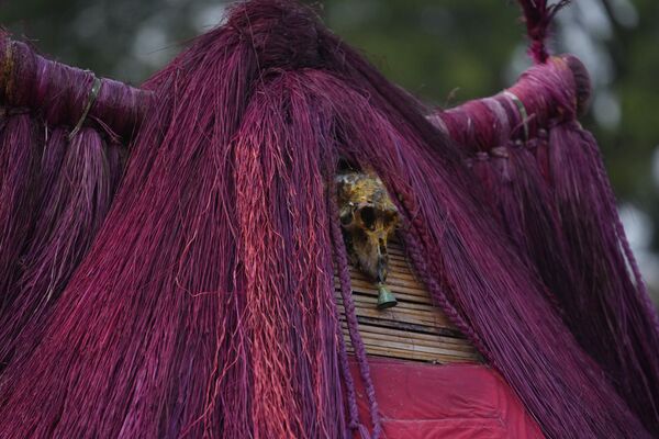 Zangbeto masquerades, the traditional Voodoo guardians of the night, performing ahead of the annual Voodoo Festival, Ouidah, Benin, Jan. 9, 2025. - Sputnik Africa