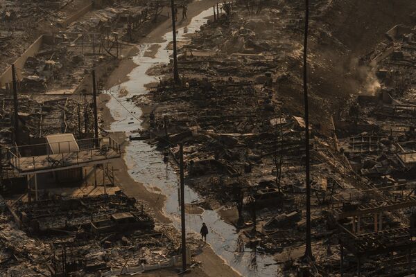 A person walks amid the destruction left behind by the Palisades Fire in the Pacific Palisades neighborhood of Los Angeles, Thursday, Jan. 9, 2025. - Sputnik Africa