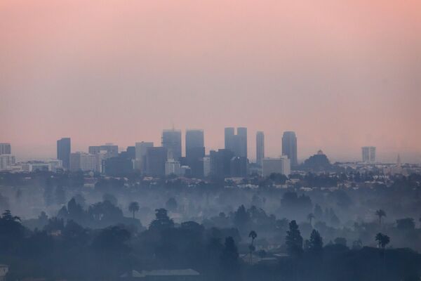 Burned trees and wildfire smoke from the Palisades Fire are seen from Will Rogers State Park with downtown Los Angeles in the distance, on January 9, 2025 in the Pacific Palisades neighborhood of Los Angeles, California. - Sputnik Africa