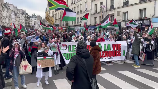 Une manifestation de soutien à la Palestine à Paris, le 11 janvier 2025 (archive photo) - Sputnik Afrique