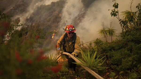 A firefighter sets up a hose while fighting the Palisades Fire in Mandeville Canyon on Saturday, Jan. 11, 2025, in Los Angeles. - Sputnik Africa