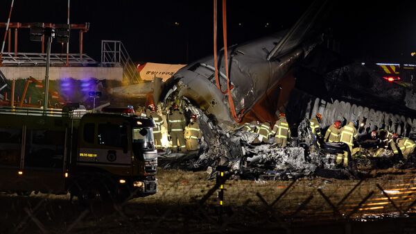 Firefighters and rescue teams work at the wreckage of a passenger plane at Muan International Airport in Muan-gun, South Korea, on December 29, 2024. - Sputnik Africa