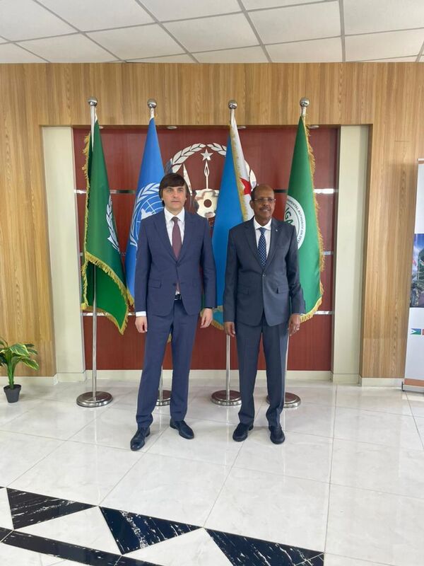 Le ministre russe de l'Éducation de la Fédération de Russie, Sergueï Kravtsov, et le ministre djiboutien des Affaires étrangères et de la Coopération internationale, Mahamoud Ali Youssouf, en 2024, lors de leur rencontre à Djibouti - Sputnik Afrique