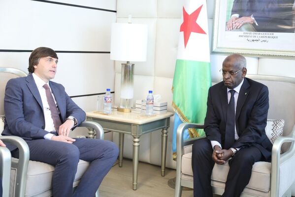 Le ministre russe de l'Éducation de la Fédération de Russie, Sergueï Kravtsov et le Premier ministre djiboutien, Abdoulkader Kamil Mohamed, en 2024, lors de leur rencontre à Djibouti - Sputnik Afrique