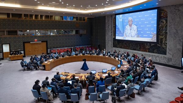 Bintou Keita, Special Representative of the Secretary-General in the DRC and Head of the United Nations Organization Stabilization Mission in the DRC, speaks virtually during the rescheduled Security Council meeting on situation in the DRC at UN Headquarters, January 26, 2025. - Sputnik Africa