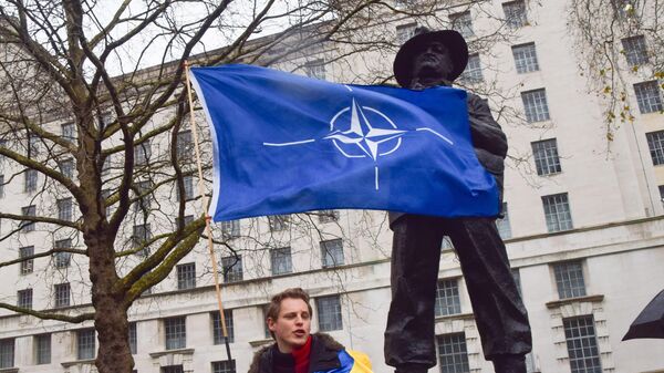 A protester holds a NATO flag during the demonstration in Whitehall. - Sputnik Africa