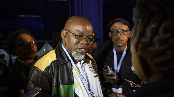 South Africa’s Mineral Resources Minister Gwede Mantashe - Sputnik Africa