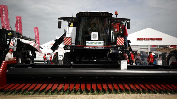 Agro-industrial exhibition Zolotaya Niva in the Krasnodar Territory - Sputnik Africa