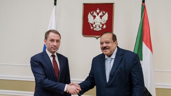 Minister of Natural Resources and Ecology of Russia Alexander Kozlov holds a meeting with the Minister of Foreign Affairs of the Republic of Sudan, Ali Youssef al-Sharif. February 11, 2025. - Sputnik Africa