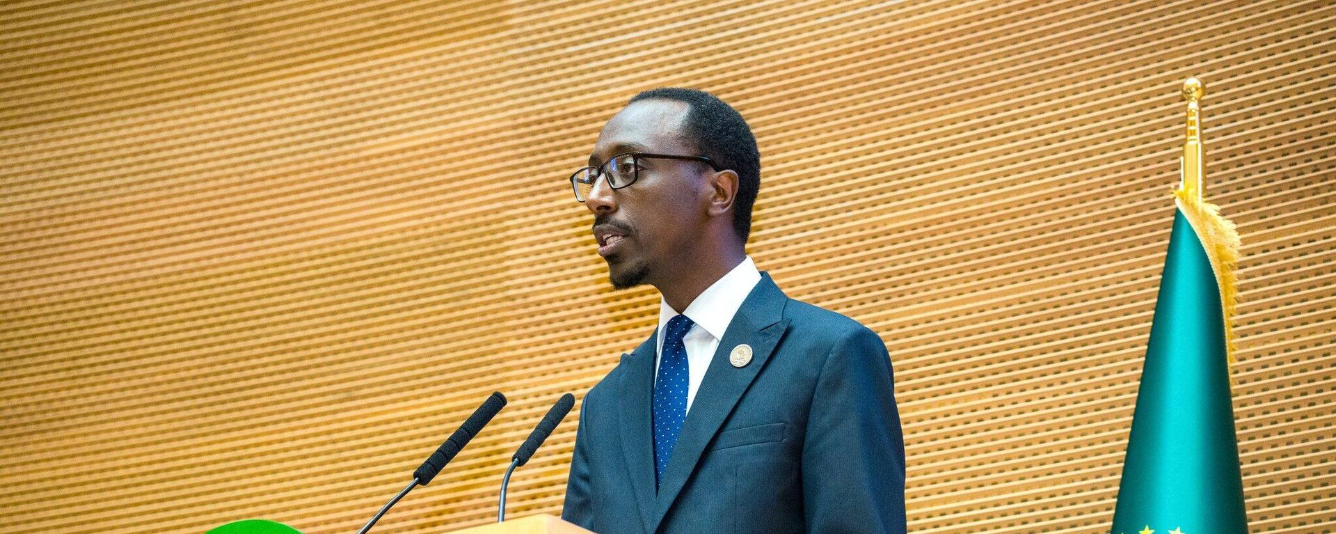 Ethiopian Foreign Minister Gedion Timotewos at the 46th session of the Executive Council of the African Union. - Sputnik Africa, 1920, 13.02.2025