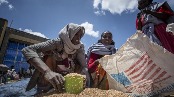 An Ethiopian woman scoops up portions of wheat to be allocated to each waiting family after it was distributed by the Relief Society of Tigray in the town of Agula, in the Tigray region of northern Ethiopia on May 8, 2021. - Sputnik Africa