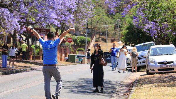 A visitor poses for a photo with blooming jacaranda trees on October 19, 2024 in Pretoria, South Africa. - Sputnik Africa