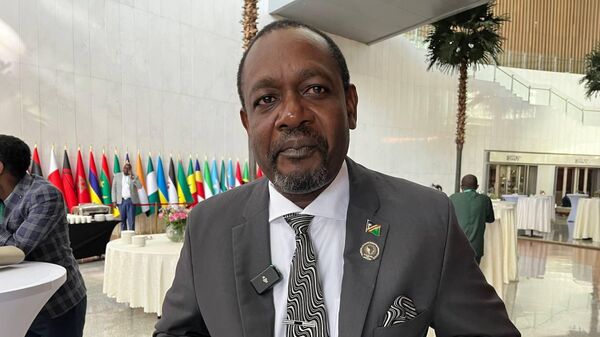 Namibian Foreign Minister Peya Mushelenga at the 46th session of the Executive Council of the African Union. - Sputnik Africa