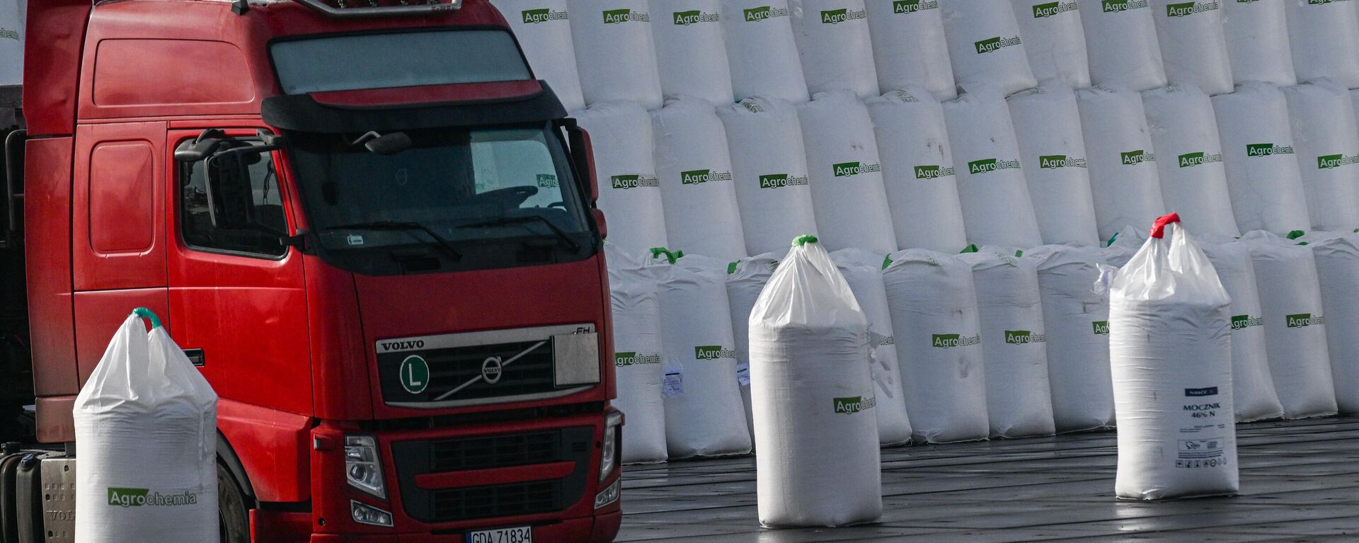 Bags with fertilizer from Poland's Azoty Group are seen on a loading deck at Gdansk Port on October 2, 2022 in Gdansk, Poland.  - Sputnik Africa, 1920, 19.02.2025