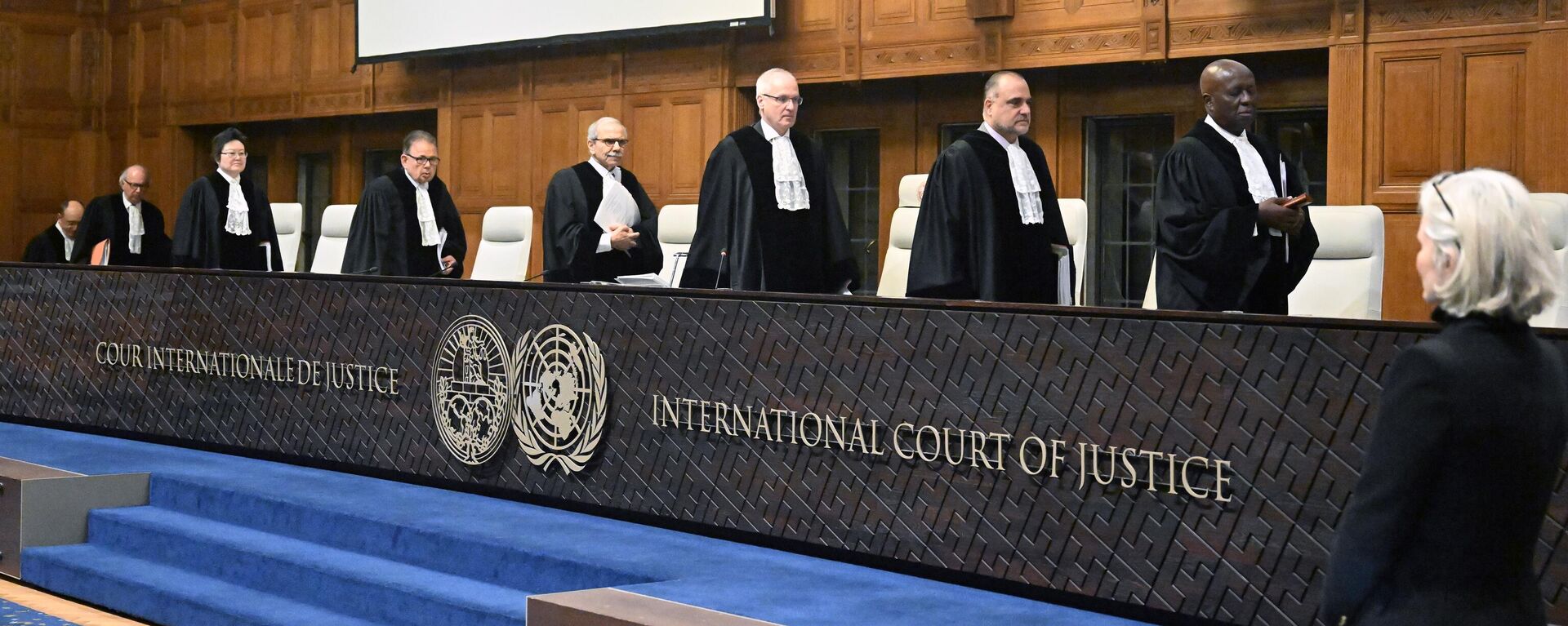 Judges take their seats prior to the hearing of Israel's defense at the International Court of Justice (ICJ) against South Africa's genocide case in Gaza against Israel on January 12, 2024, in the Hague, Netherlands. - Sputnik Africa, 1920, 21.02.2025