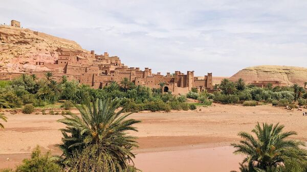 Le Maroc a expulsé des députés européens pour avoir tenté de pénétrer au Sahara occidental