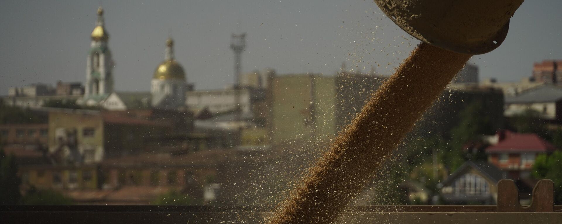 Grains to be shipped are loaded onto a ship at Port of Rostov-on-Don in Russia on August 17, 2022. - Sputnik Africa, 1920, 22.02.2025