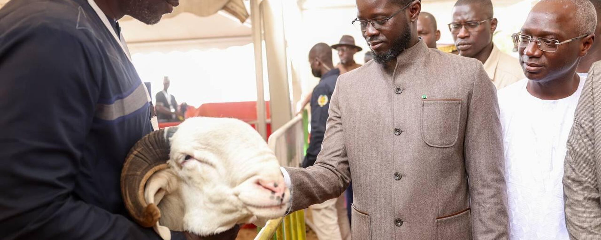 Senegalese President Bassirou Diomaye Faye at the ninth National Livestock Day in central Senegal's Kaolack Region. - Sputnik Africa, 1920, 23.02.2025