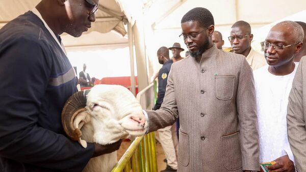 Senegalese President Bassirou Diomaye Faye at the ninth National Livestock Day in central Senegal's Kaolack Region. - Sputnik Africa