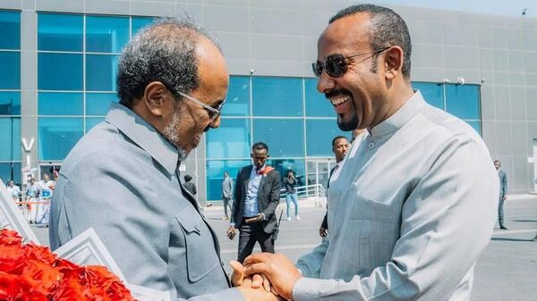 Ethiopian Prime Minister Abiy Ahmed and Somalian President Hassan Sheikh Mohamud discussed and agreed to enhance cooperation between their two countries. - Sputnik Africa