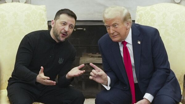 Donald Trump et Volodymir Zelensky ont un entretien dans la Maison-Blanche - Sputnik Africa