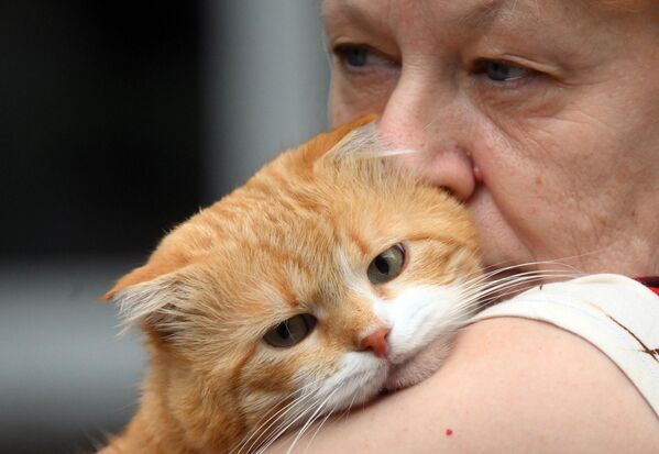 A resident of the border district of Kursk Region, damaged by the Ukrainian Armed Forces attack, takes her pet to the veterinarians for vaccination at a temporary accommodation point in Kursk. - Sputnik Africa