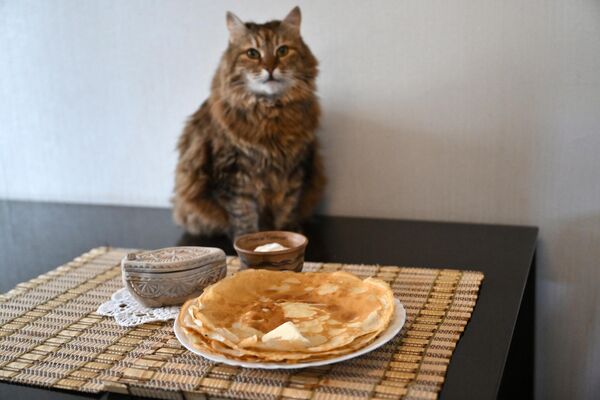 Baking pancakes on the eve of Maslenitsa week. - Sputnik Africa