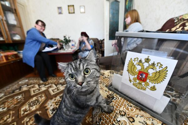 A woman votes at a mobile poll in Chita. - Sputnik Africa