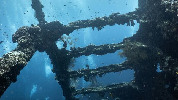 Archéologie sous-marine: voilà comment les scientifiques étudient les épaves