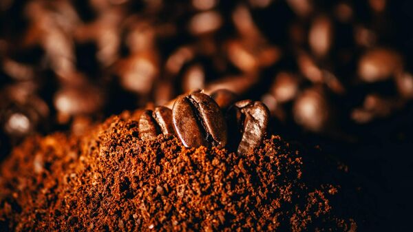 Le marché mondial du cacao connaîtra un excédent à la fin de la saison 2024/2025