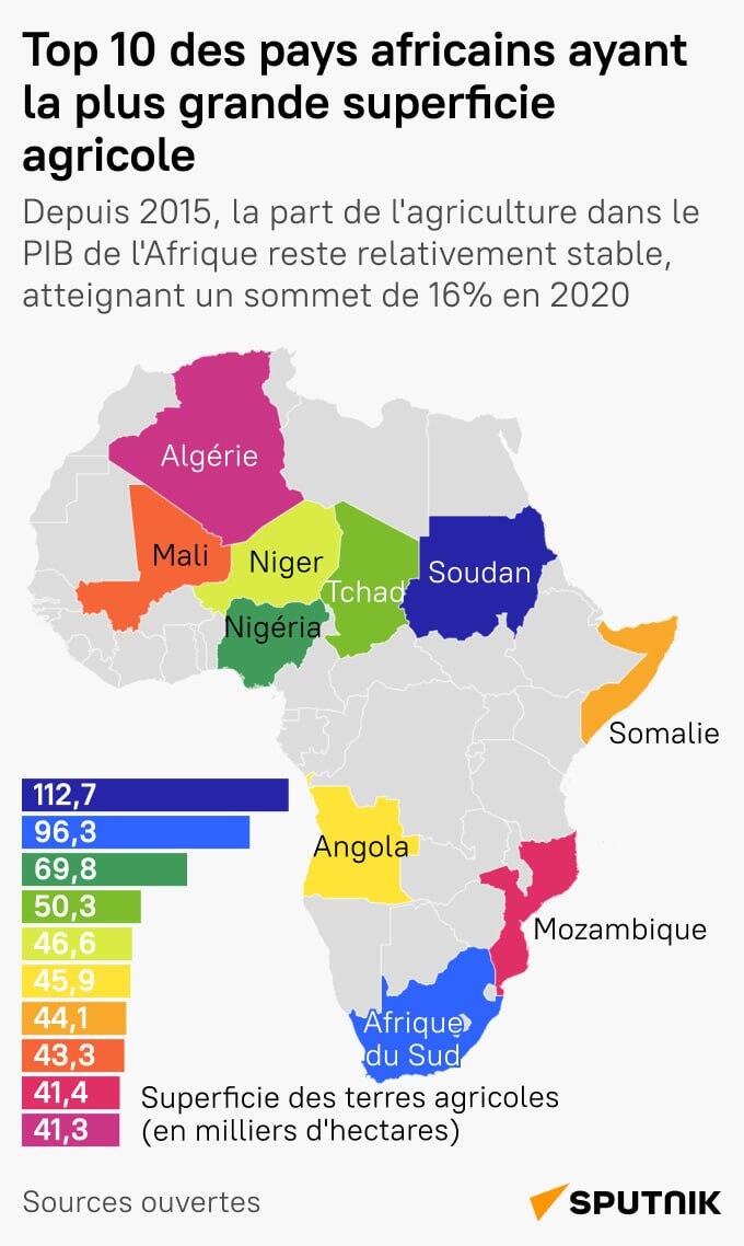 Top 10 des pays africains ayant la plus grande superficie agricole