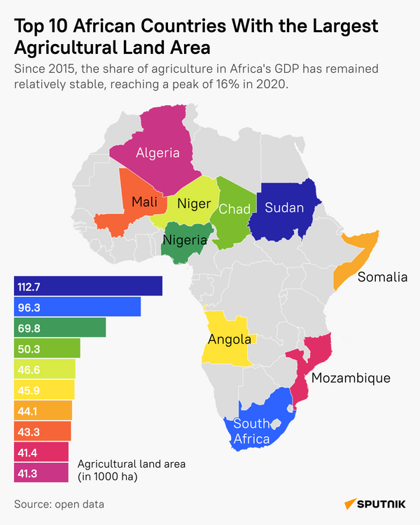 Top 10 African countries with the largest agricultural land area - Sputnik Africa