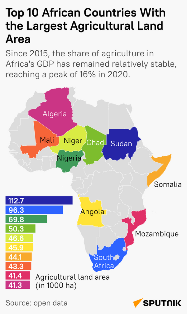 Top 10 African countries with the largest agricultural land area - Sputnik Africa