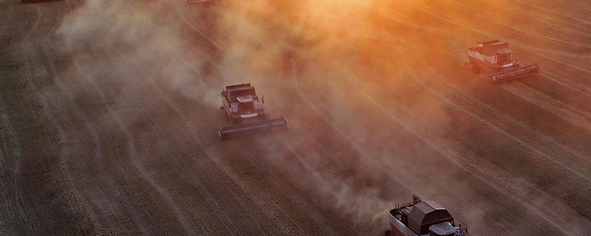 Harvesting wheat during sunset in the fields of the agricultural enterprise Svetlolobovskoye in the vicinity of the village of Barait, Novosyolovsky district, Krasnoyarsk Territory. - Sputnik Africa, 1920, 10.03.2025