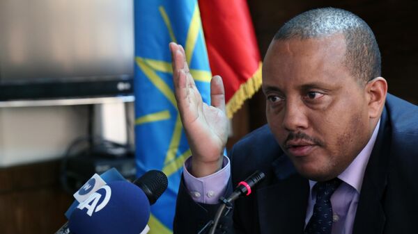 The President of the Tigray Regional State Interim Administration, Getachew Reda - Sputnik Africa