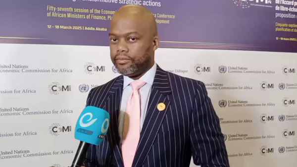 Wamkele Mene, Secretary-General of the African Continental Free Trade Area, on the sidelines of the 57th session of the ECA Conference of African Ministers of Finance, Planning, and Economic Development. - Sputnik Africa