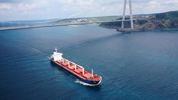 An aerial view of Sierra Leone-flagged dry cargo ship Razoni, carrying a cargo of 26,527 tons of corn, leaves from Istanbul, Turkey and passes surroundings of Yavuz Sultan Selim Bridge to reach Lebanon after inspections are completed by Representatives of Russia, Ukraine, Turkey and the UN of the Joint Coordination Center (JCC) complete inspection on August 03, 2022. - Sputnik Africa