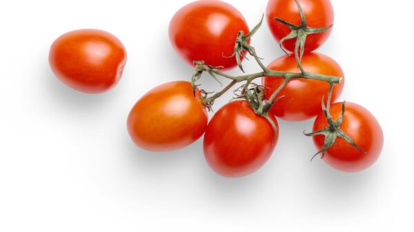 Tomates, image d'illustration - Sputnik Afrique