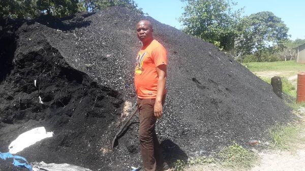 Tanzanian initiative to create sustainable charcoal and clean energy. - Sputnik Africa