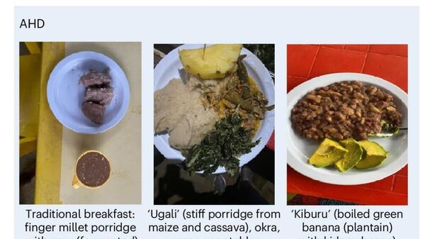 African Heritage Diets Beneficial for Immune System & Metabolism in Contrast to Western Diets, Research Reveals - Sputnik Africa