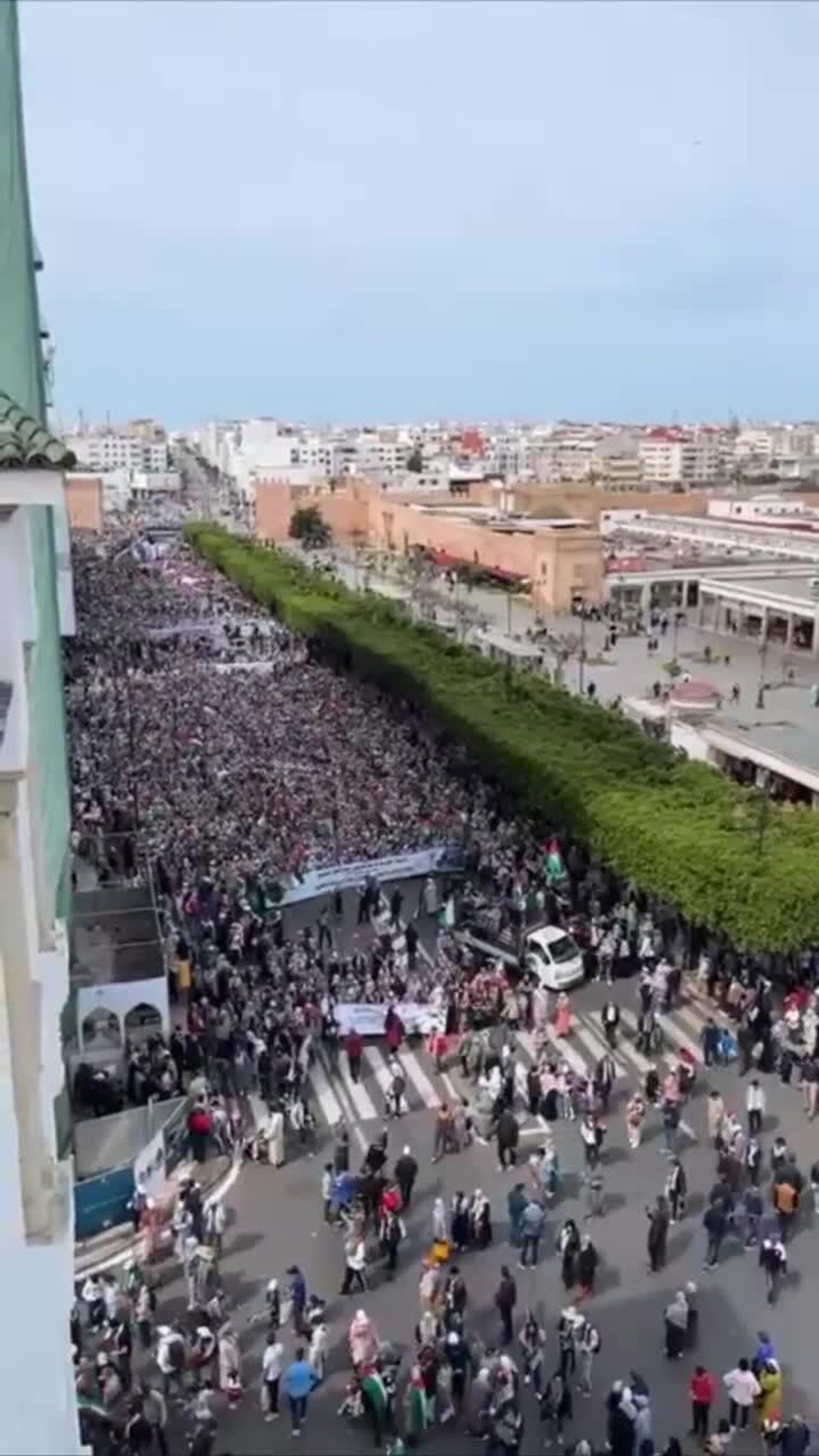 ▶ Une manifestation en soutien à Gaza a eu lieu dans la capitale marocaine Rabat ▶ Une manifestation en soutien à Gaza a eu lieu dans la capitale marocaine Rabat - Sputnik Afrique, 1920, 06.04.2025