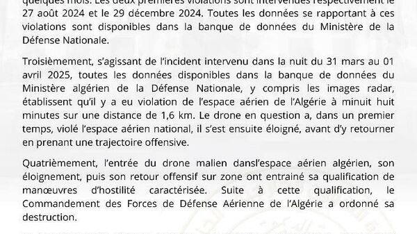 Alger rappelle pour consultation ses ambassadeurs au Mali et au Niger, et diffère la prise de fonction de celui au Burkina - Sputnik Afrique